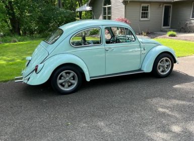 Achat Volkswagen Beetle - Classic  Occasion