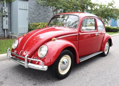 Vente Volkswagen Beetle - Classic  Occasion