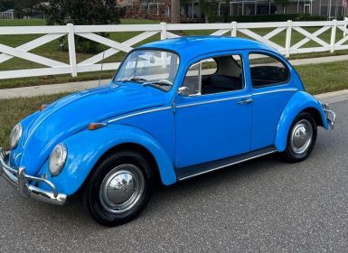 Achat Volkswagen Beetle - Classic  Occasion