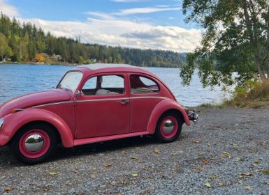 Achat Volkswagen Beetle - Classic  Occasion