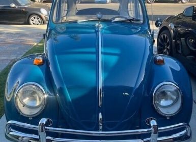 Achat Volkswagen Beetle - Classic  Occasion