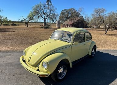 Volkswagen Beetle - Classic 