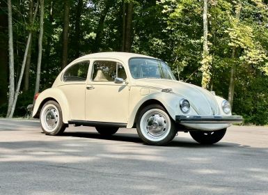 Volkswagen Beetle - Classic  Occasion