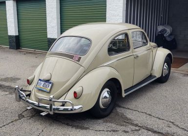 Achat Volkswagen Beetle - Classic  Occasion