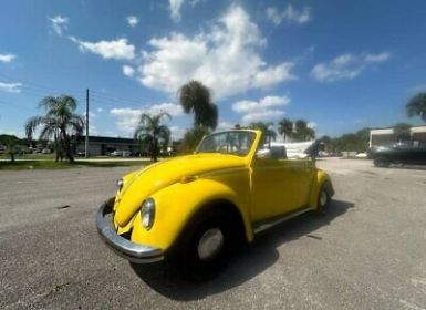 Volkswagen Beetle - Classic 