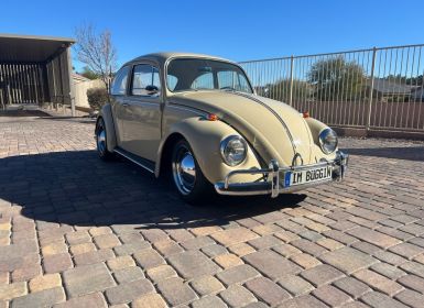 Volkswagen Beetle - Classic 