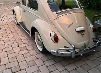 Vente Volkswagen Beetle Occasion