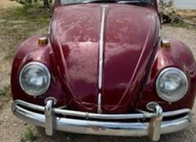 Achat Volkswagen Beetle Occasion