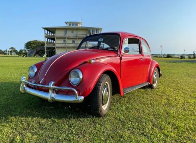 Achat Volkswagen Beetle Occasion