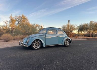 Volkswagen Beetle Occasion