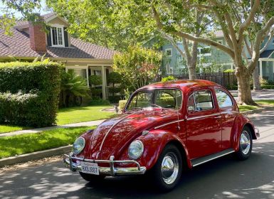 Achat Volkswagen Beetle Occasion