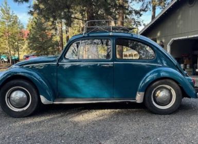 Vente Volkswagen Beetle Occasion