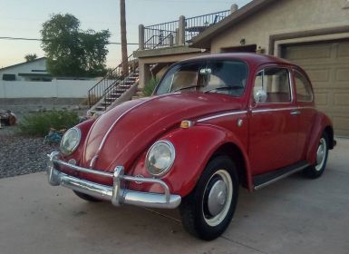 Achat Volkswagen Beetle bug  Occasion