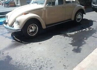 Volkswagen Beetle (Pre-1980) 