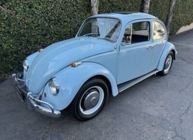 Volkswagen Beetle (Pre-1980)  Occasion