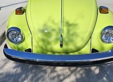 Volkswagen Beetle (Pre-1980) 