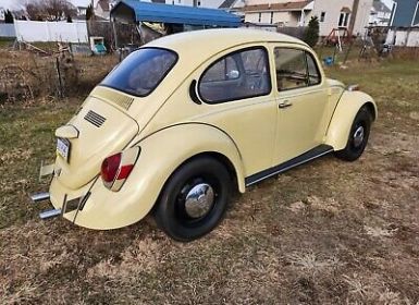 Volkswagen Beetle (Pre-1980)  Occasion