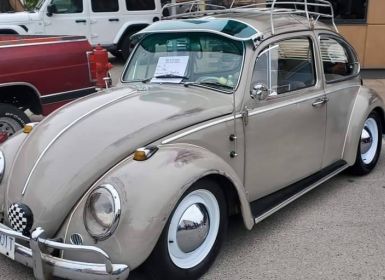 Vente Volkswagen Beetle Vw  Occasion