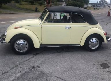 Achat Volkswagen Beetle Vw  Occasion