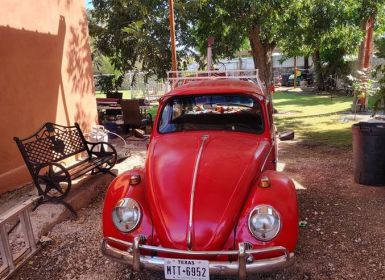 Achat Volkswagen Beetle Vw  Occasion