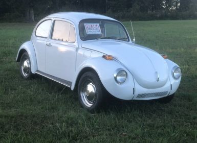 Volkswagen Beetle Vw 