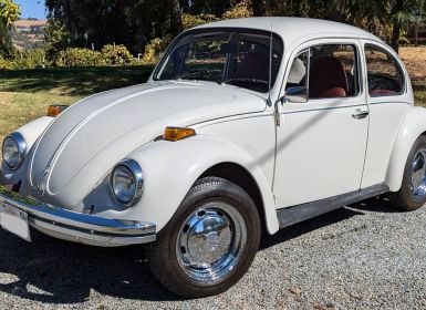 Volkswagen Beetle Vw 