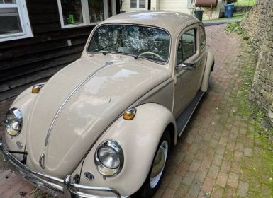 Achat Volkswagen Beetle Vw  Occasion