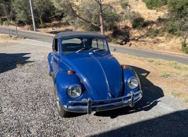 Achat Volkswagen Beetle Vw  Occasion