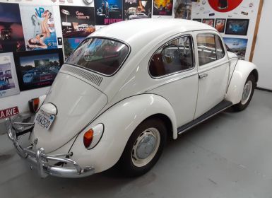 Achat Volkswagen Beetle Vw  Occasion