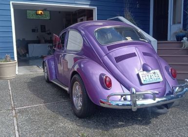 Vente Volkswagen Beetle Vw  Occasion