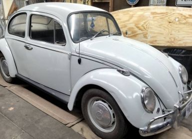 Vente Volkswagen Beetle Vw  Occasion