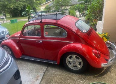 Achat Volkswagen Beetle Vw  Occasion