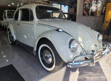 Volkswagen Beetle Vw 