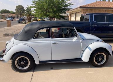 Volkswagen Beetle Vw convertible 