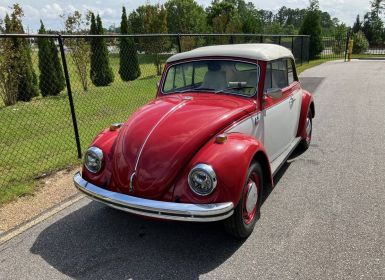 Volkswagen Beetle Vw convertible 