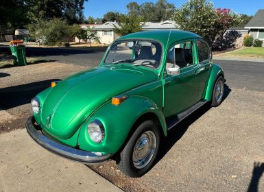 Volkswagen Beetle Vw super 