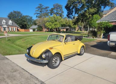 Volkswagen Beetle Vw super 