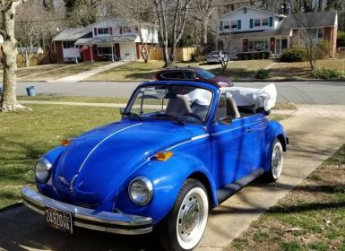 Volkswagen Beetle Vw super convertible 