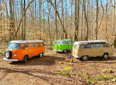 Vente Volkswagen Bus Occasion