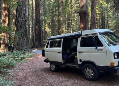 Volkswagen Transporter Vanagon westfalia 