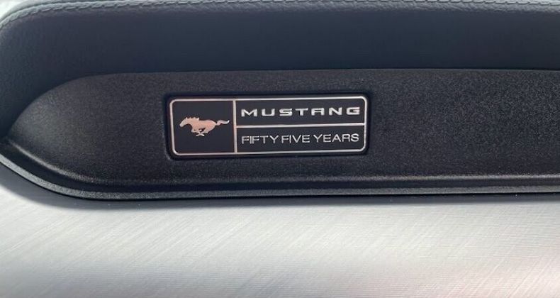 2020 Ford Mustang, LYON