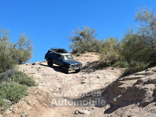 Annonce Jeep Cherokee chief 