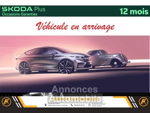 Annonce Skoda Kamiq 1.0 tsi evo 110 ch bvm6 active