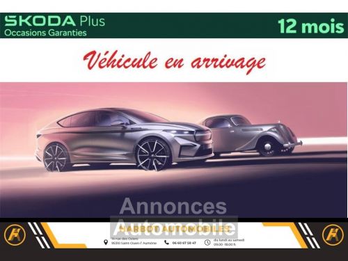 Annonce Skoda Kamiq 1.5 tsi 150 ch dsg7 monte-carlo