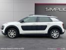 Annonce Citroen C4 Cactus BlueHDi 100 Feel