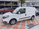 Achat Fiat Doblo CARGO 1.6 D Multijet 105 PACK PRO 3PL Occasion