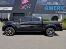 Annonce Ford F150 HARLEY DAVIDSON V8