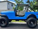 Annonce Jeep CJ5 CJ 