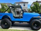 Annonce Jeep CJ5 CJ 