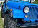 Annonce Jeep CJ5 CJ 